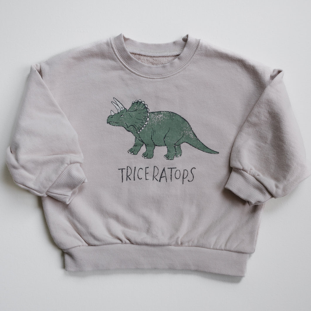 Dino Sweatshirt - Triceratops