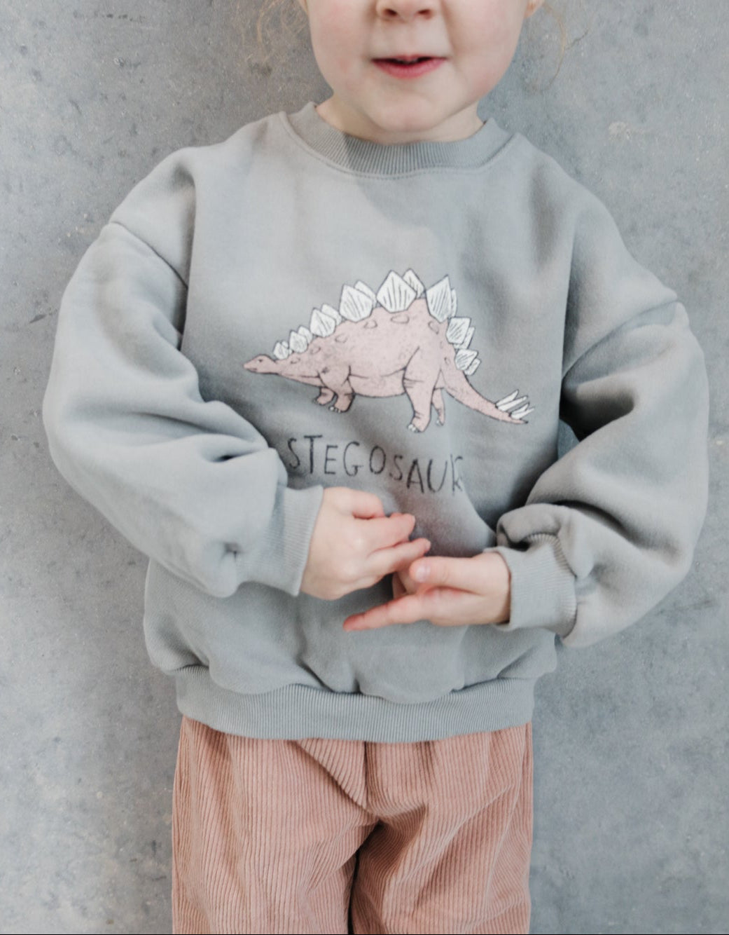 Dino Sweatshirt - Stegosaurus